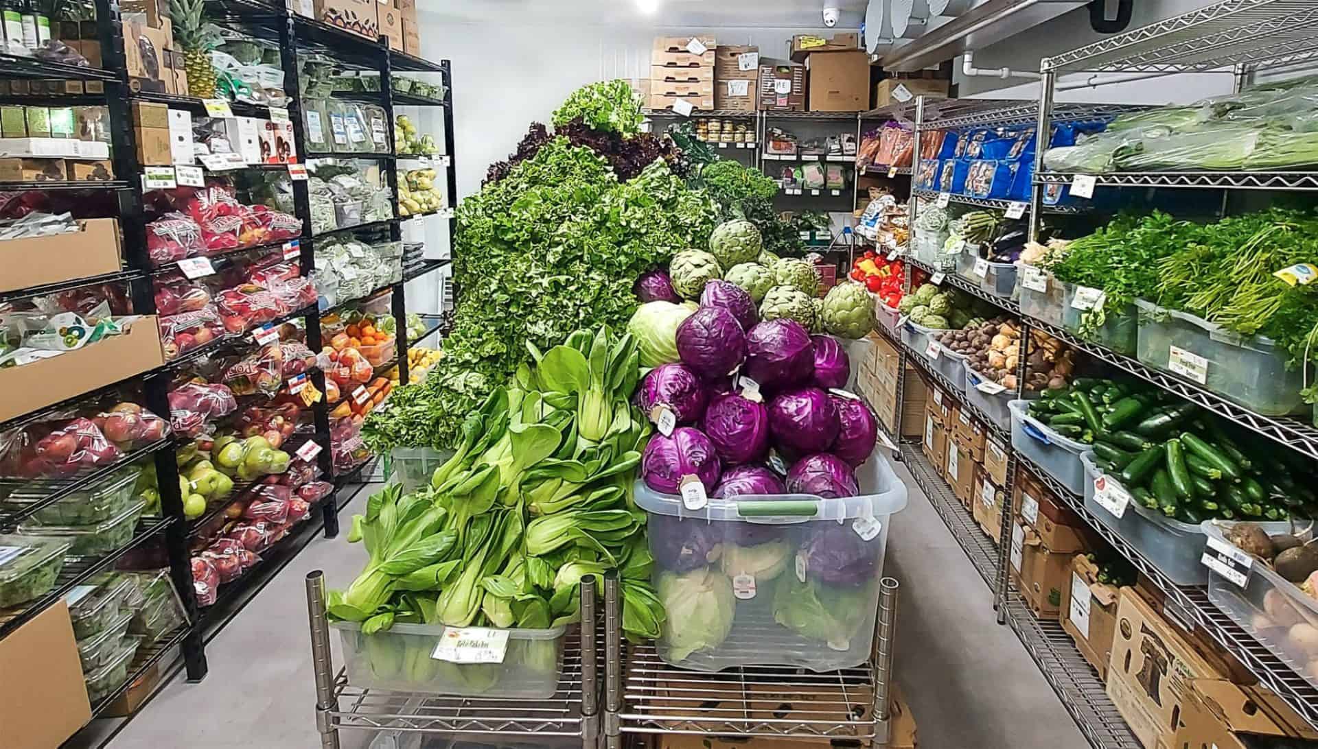 Biosattva epicerie banniere 6